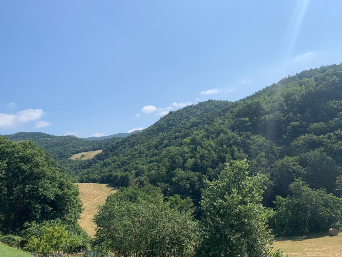 Sant'Agata  B&B Villa Bianca מראה חיצוני תמונה