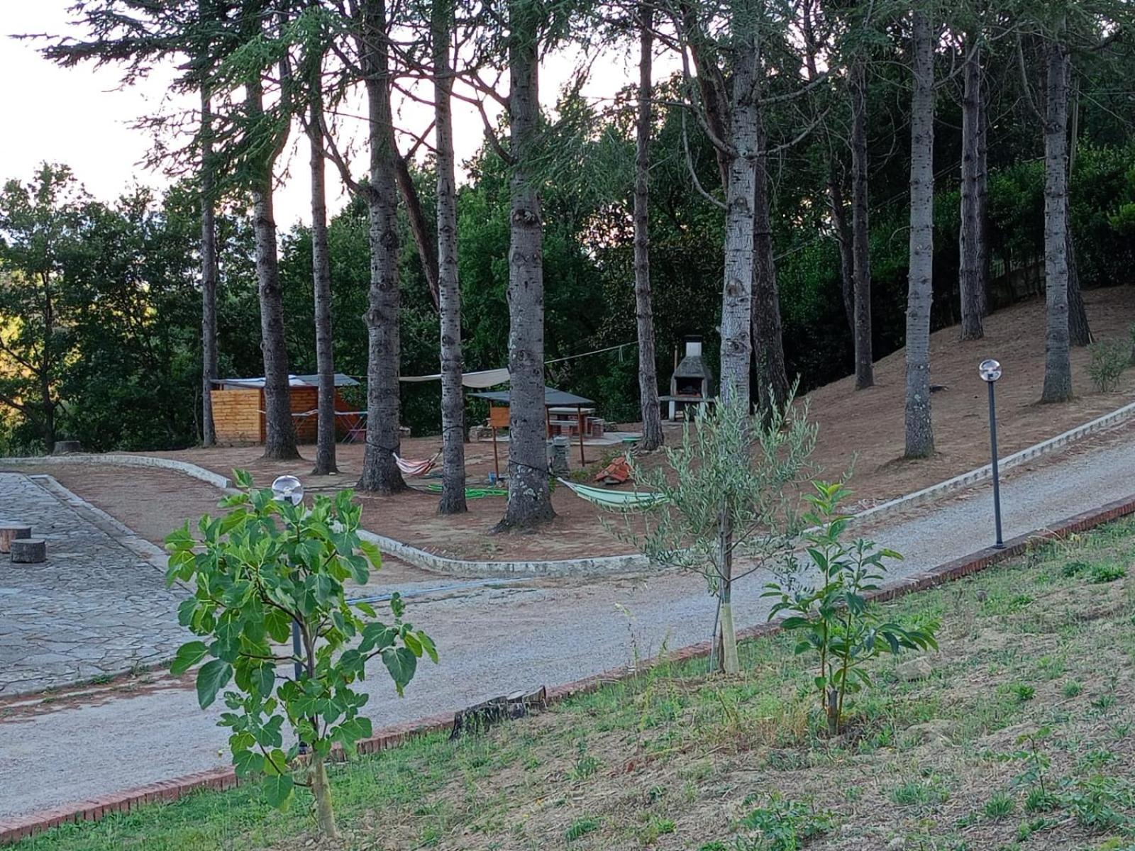 Sant'Agata  B&B Villa Bianca מראה חיצוני תמונה